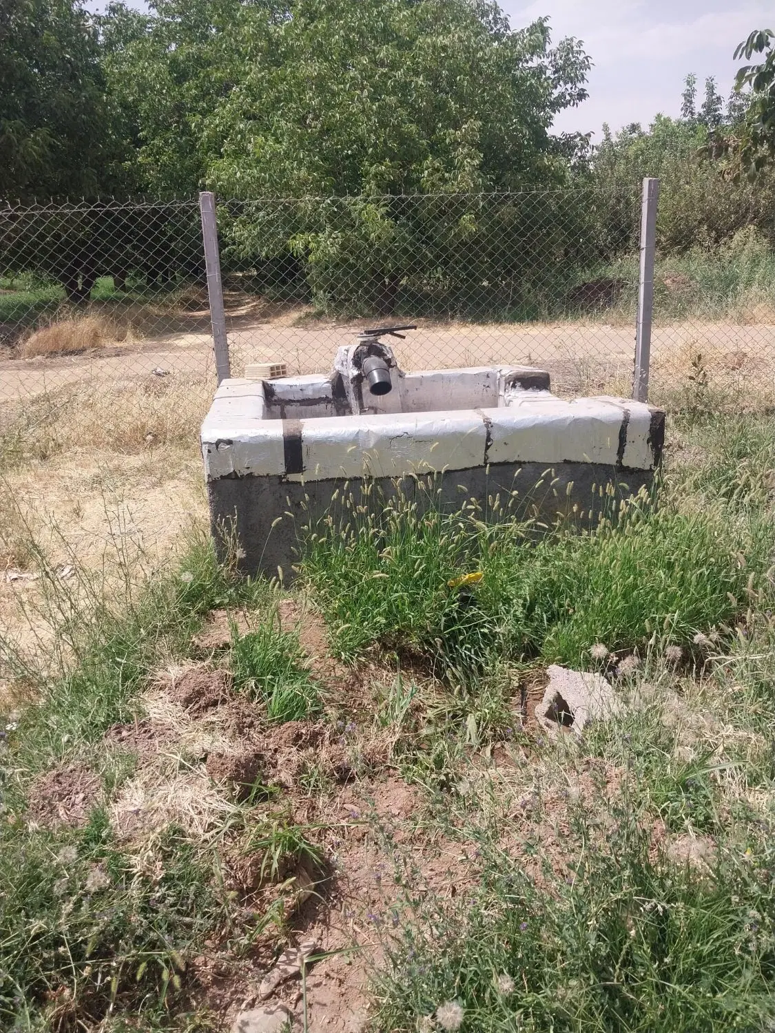 یک قطعه باغ