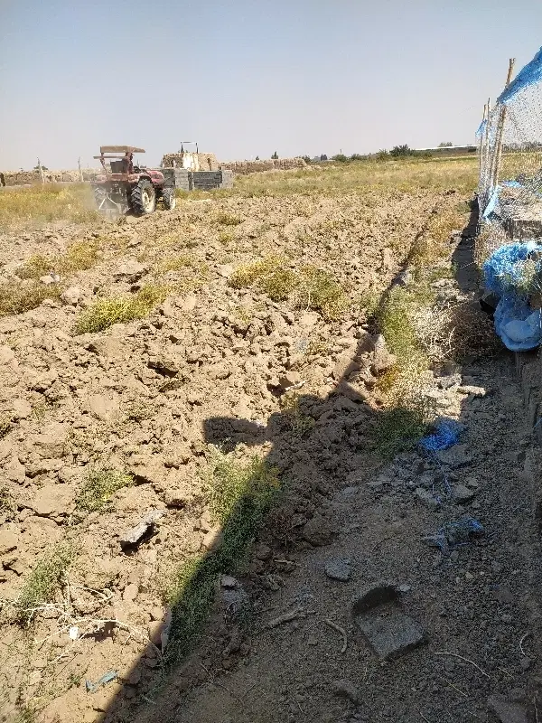 زمین حجت آباد 15قصب
