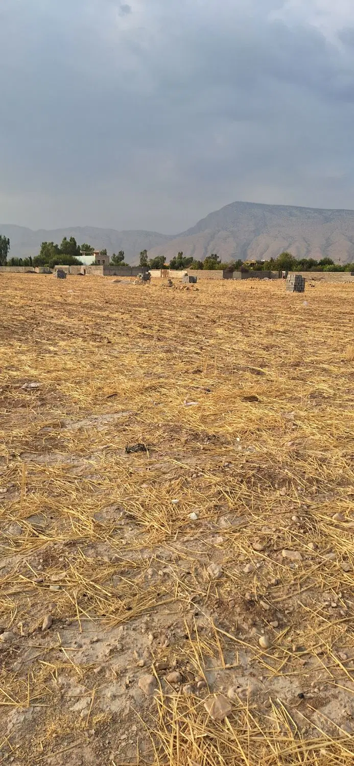 زمین فروشی،مناسب تالار،باغ ویلا جاده تالار شباهنگ