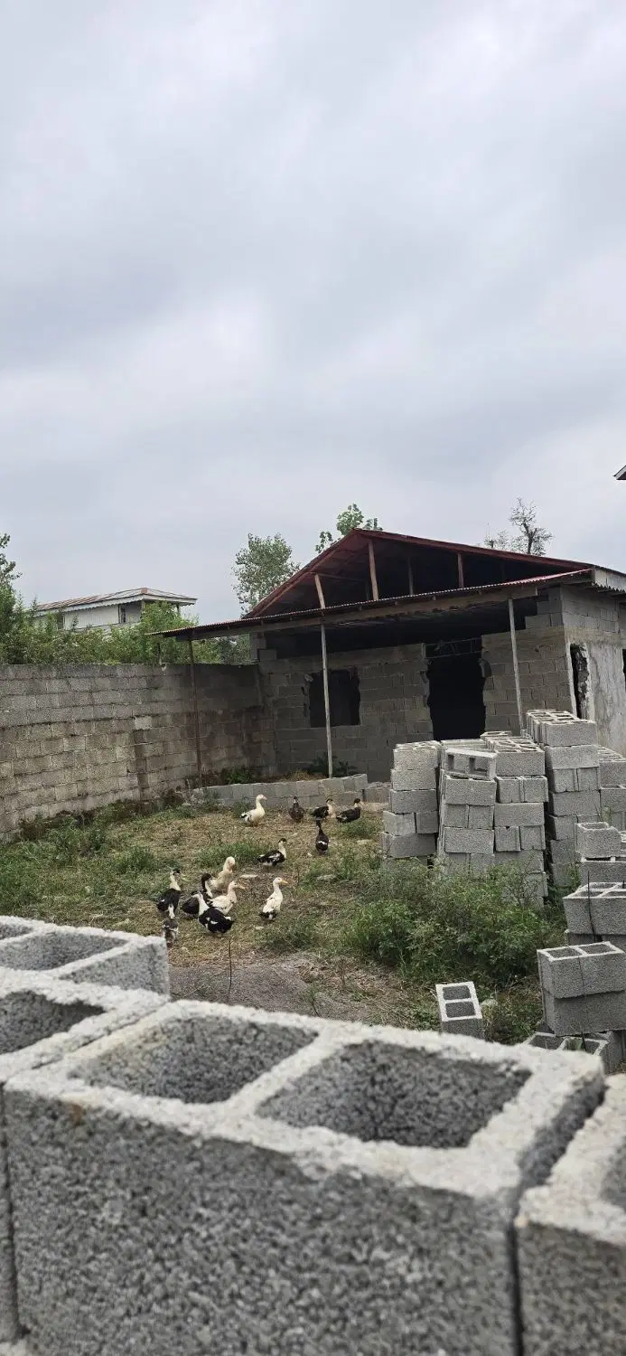 زمین ۲۵۰ متری مسکونی