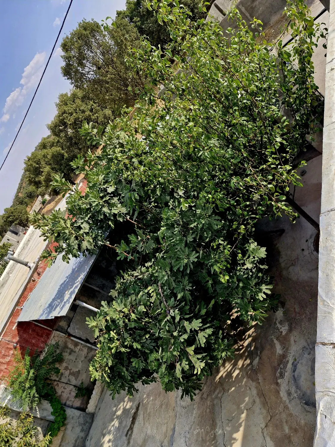 فروش خانه ویلایی
