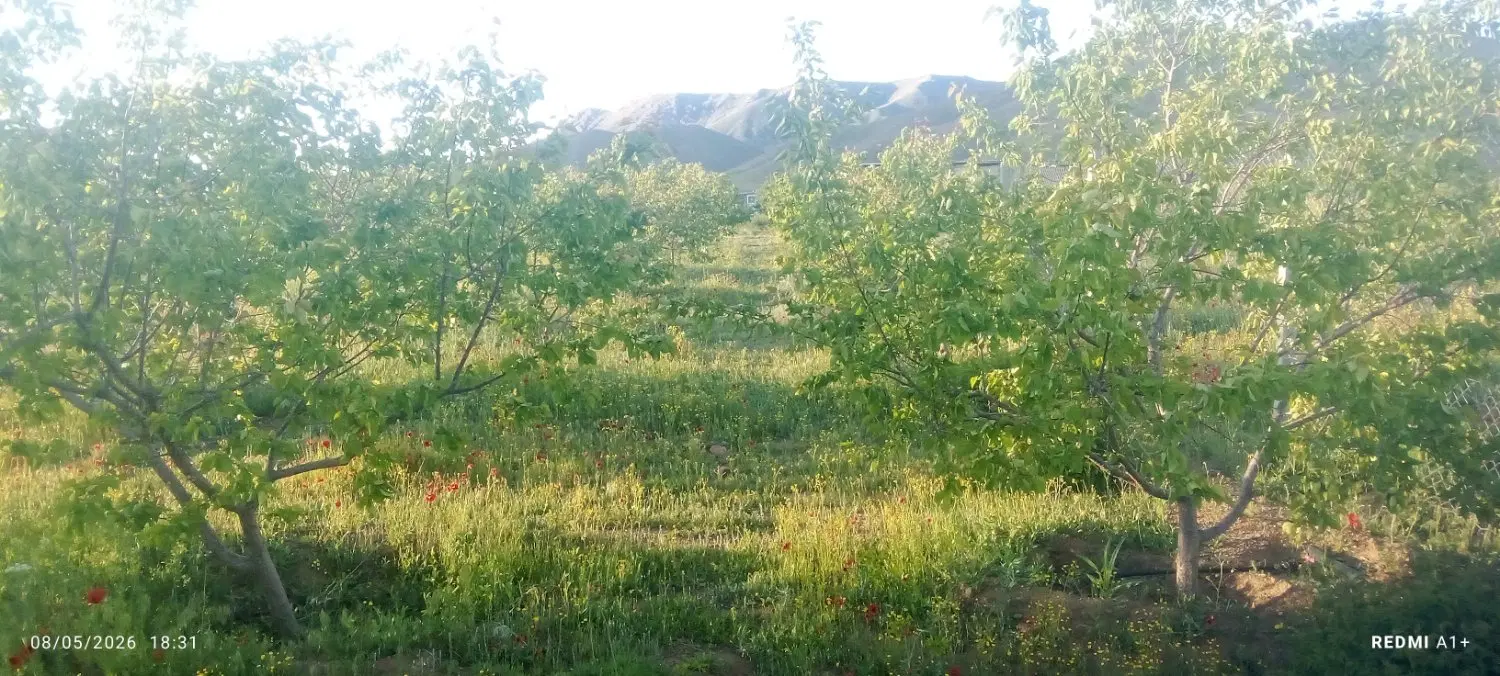 باغ دنج وراحت
