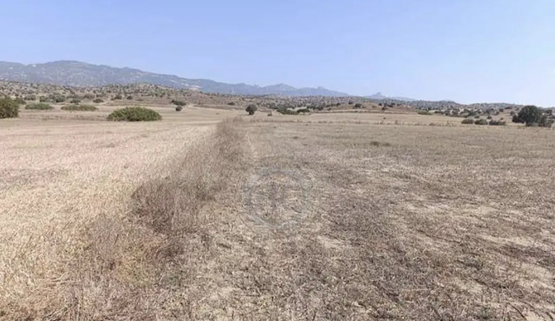 زمین در روستا