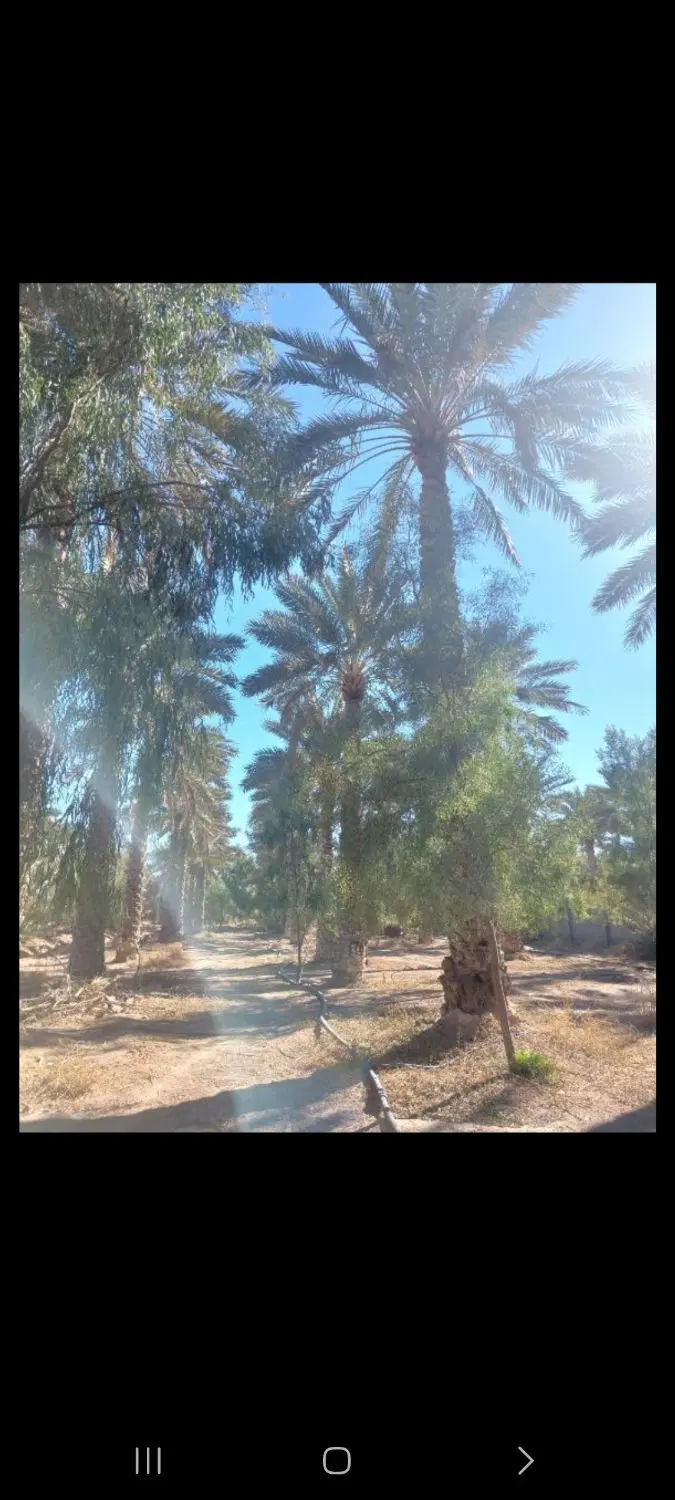 زمین باغشهری