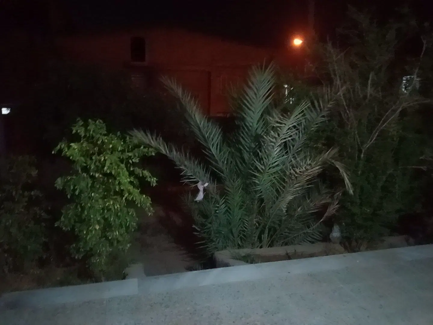 اجاره خانه