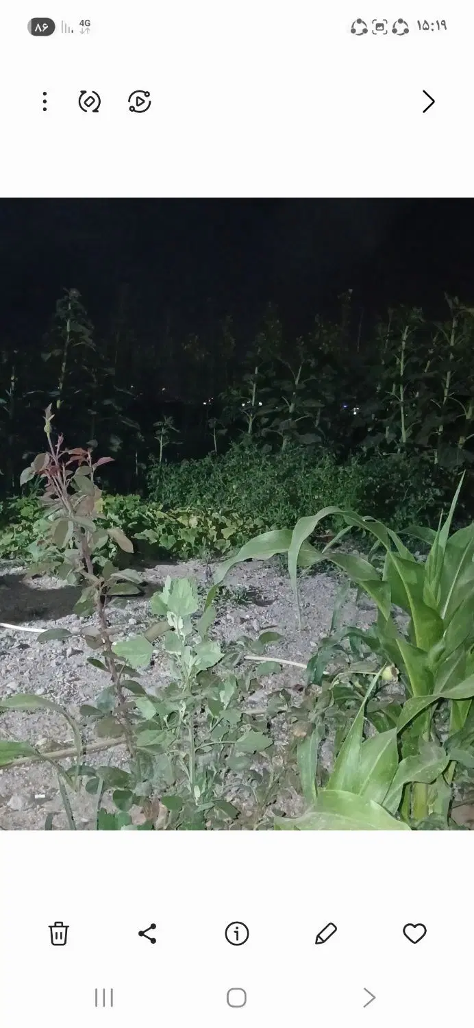 باغ در اردبیل