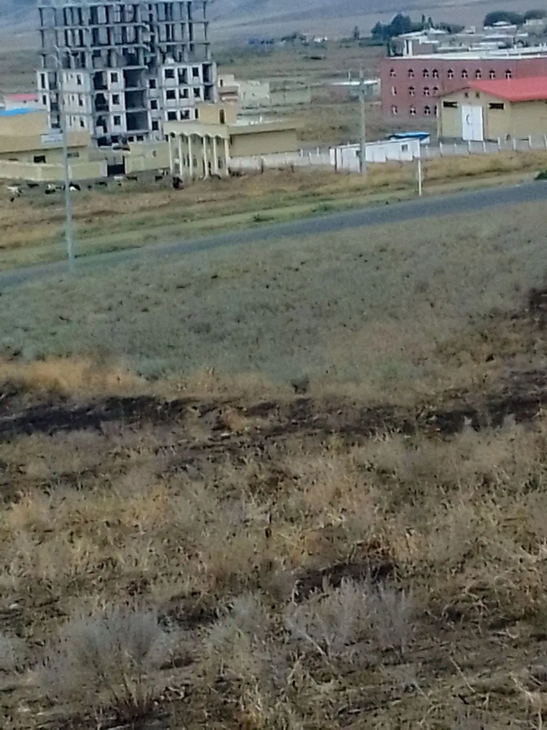 زمین