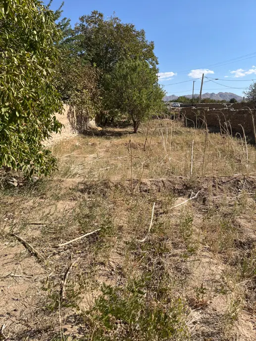 زمین سانیج بر جاده اصلی