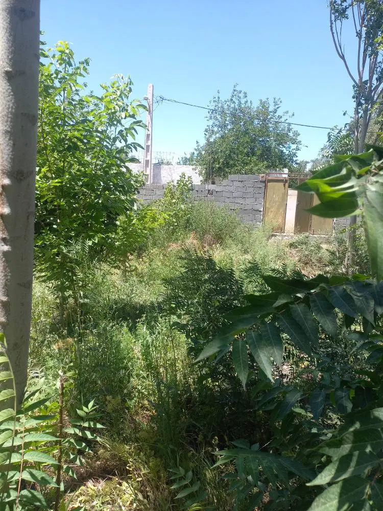 فروش،باغچه باچهاردیواری
