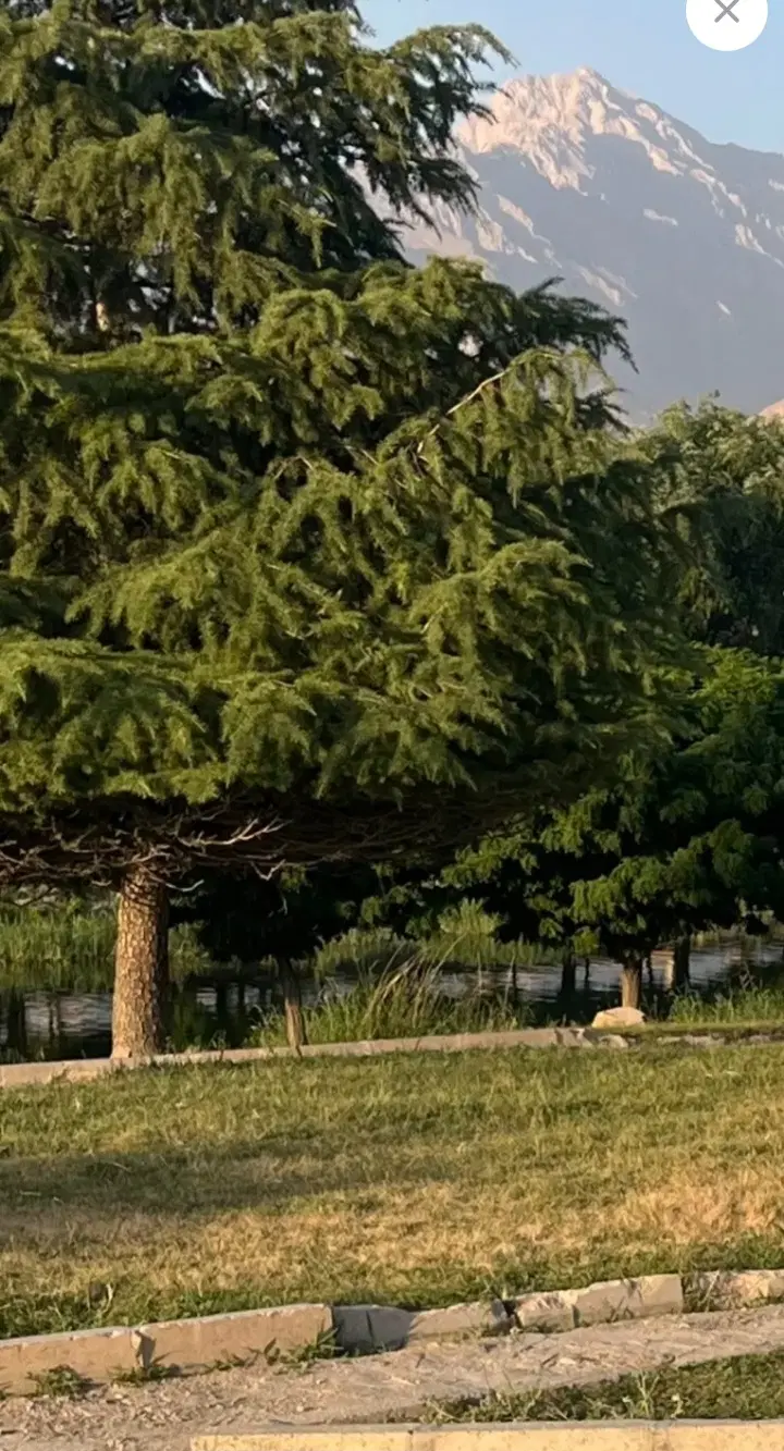 زمین مسکونی