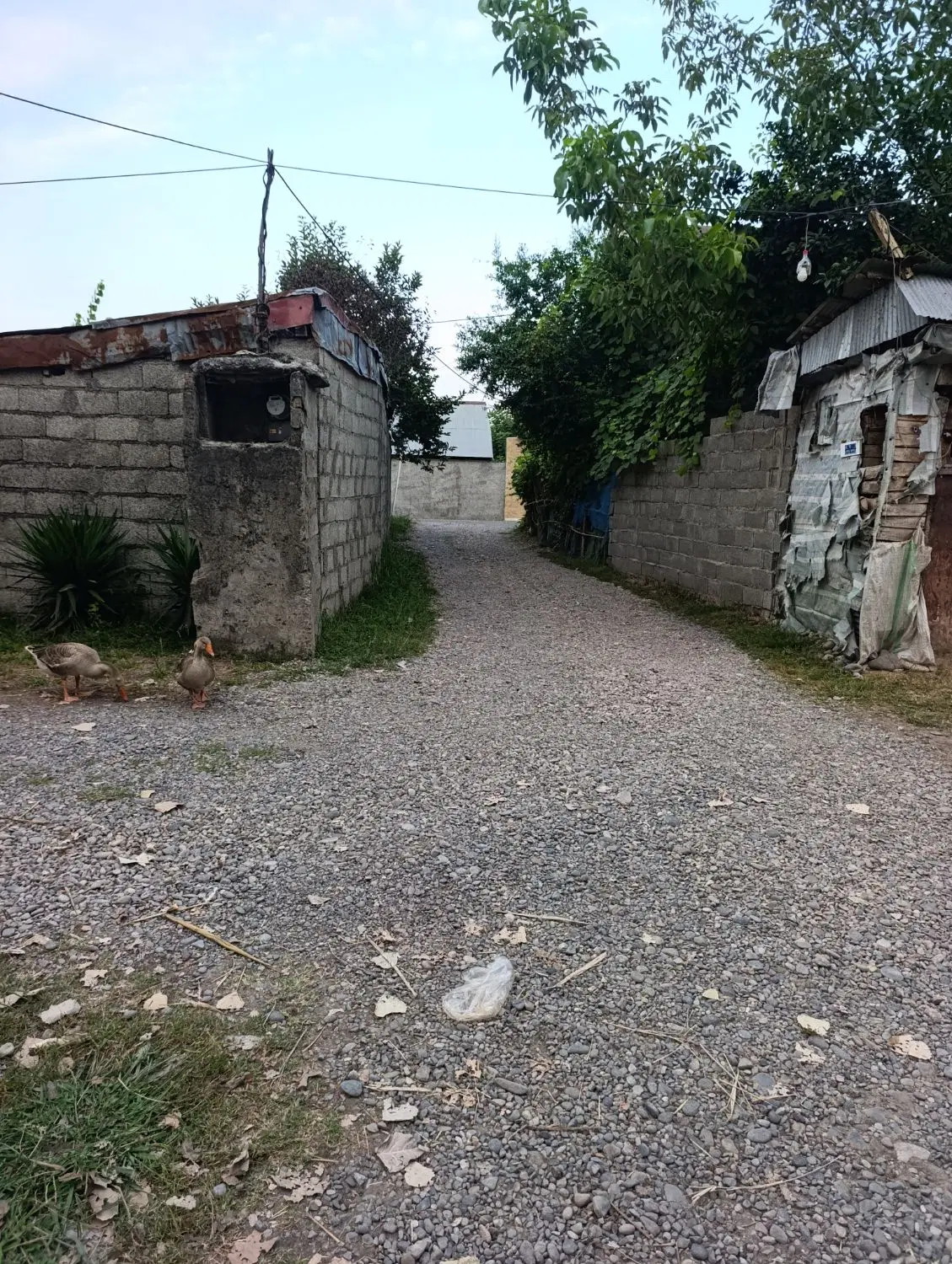 زمین مسکونی