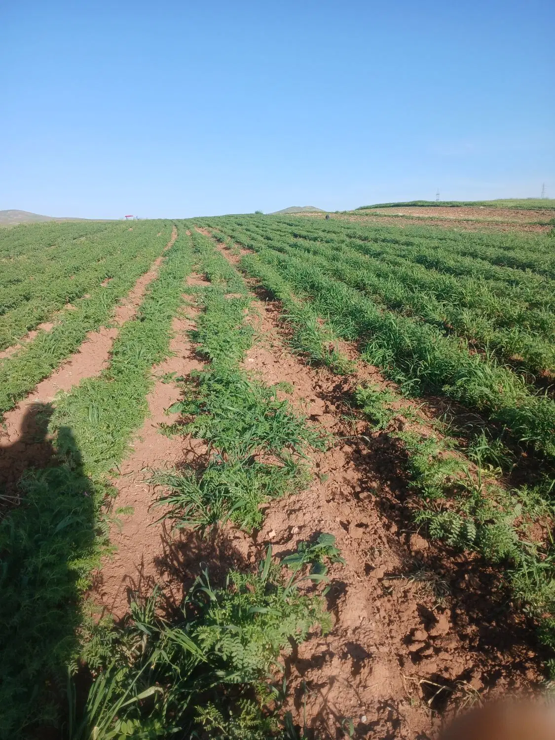 فروش زمین