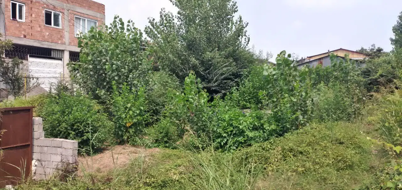 شهر امل خیابان امام رضا کوچه رحیمی