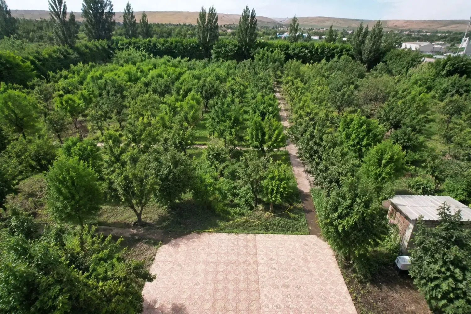 باغ زمین کشاورزی نهضت آباد
