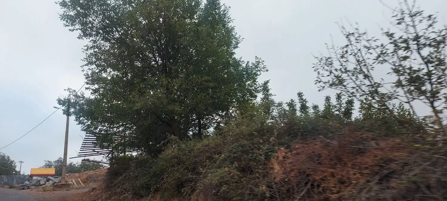 ۴۱۰زمین در شمال هفت سنگان