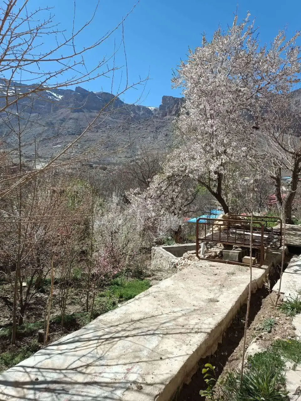 خانه باغ دهبالا محله زیرباغشاه