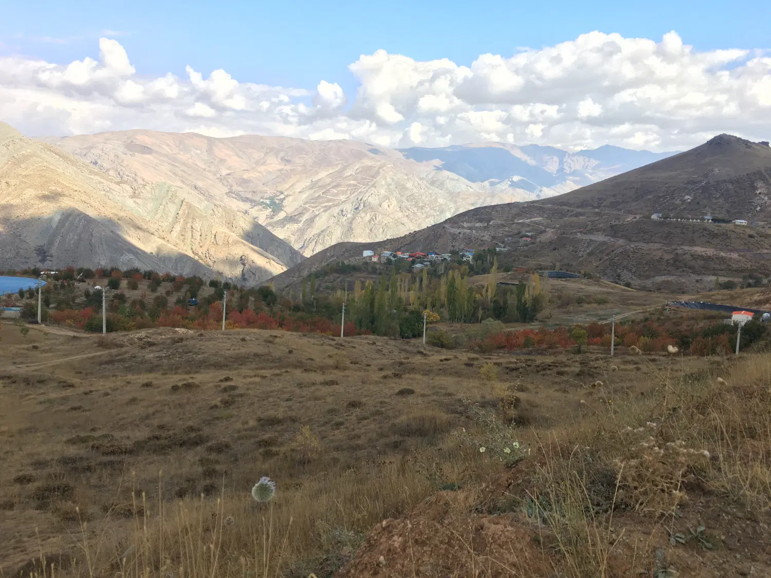 زمین زراعی طالقان