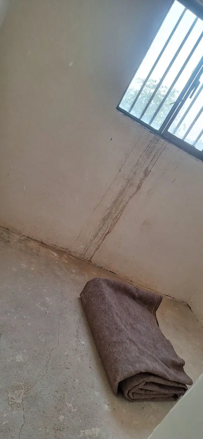 باغ انگور و گردو