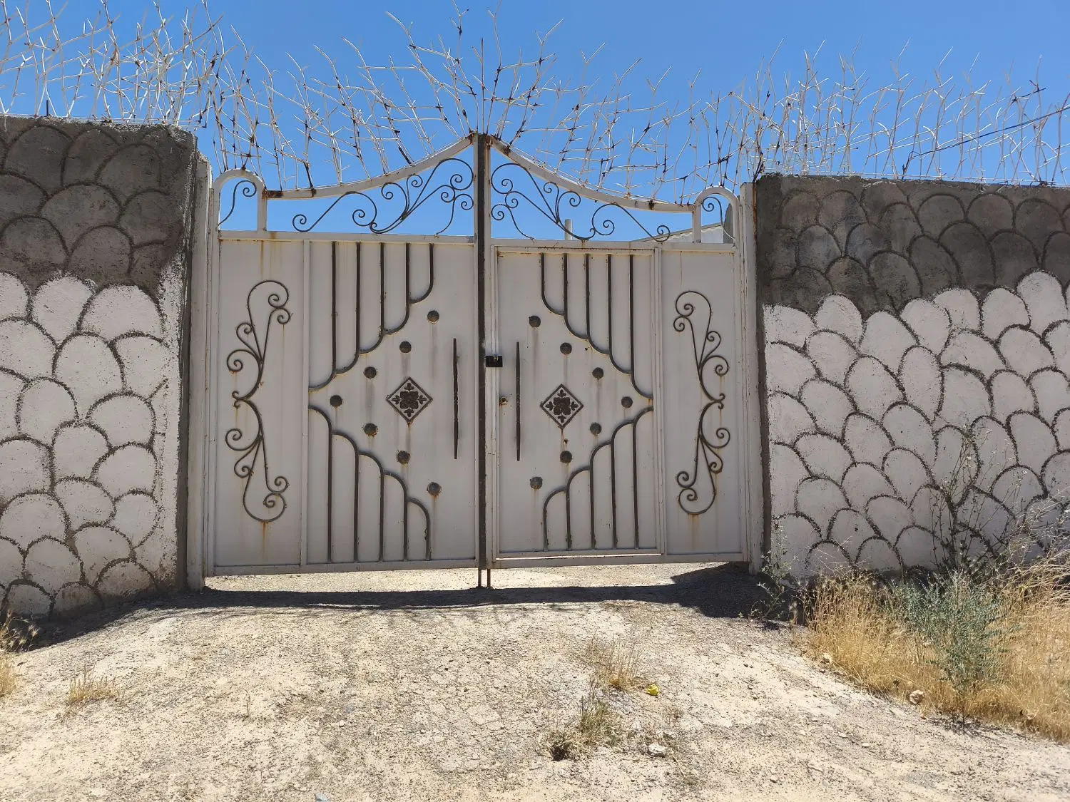 باغ فروشی