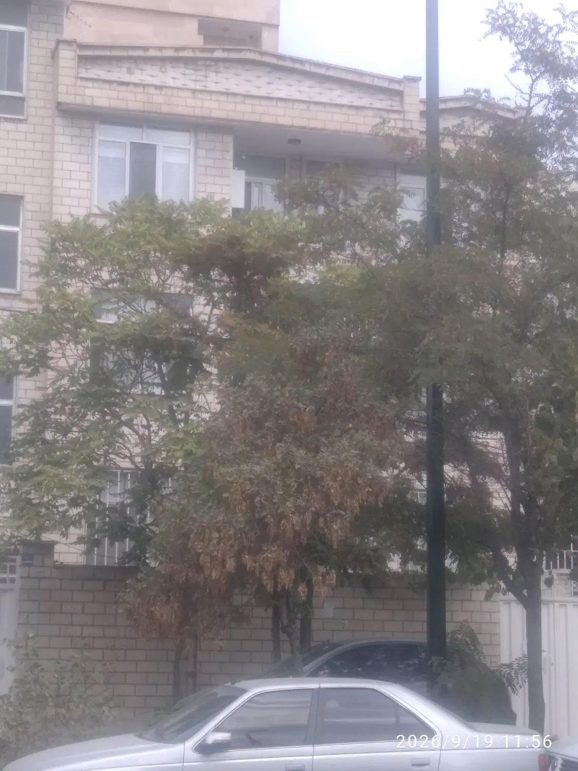 کلنگی ۳۰۲ متری جنت آباد جنوبی