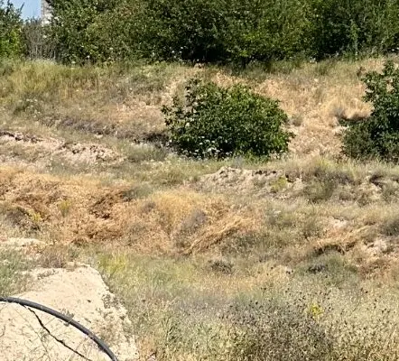 قطعه ی ۱۳۷زمین های جودی