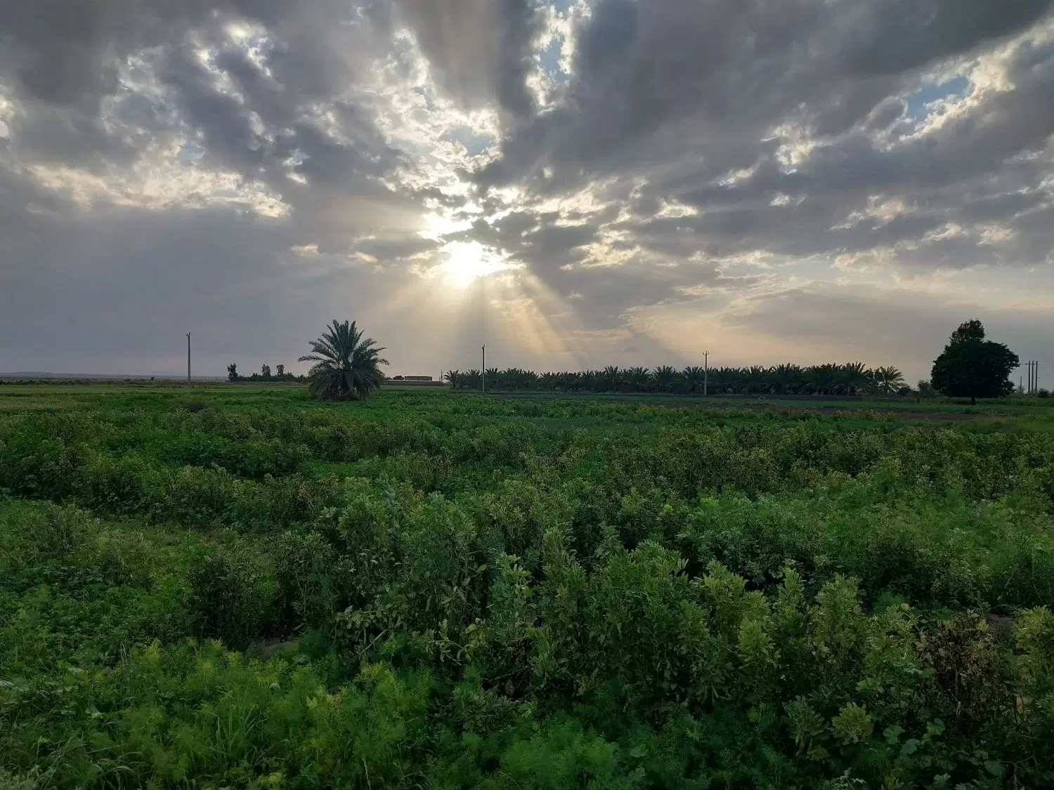فروش زمین مسکونی..