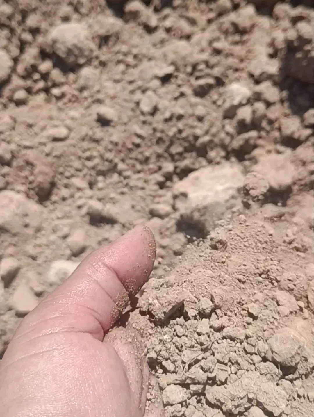 زمین کشاورزی اب کانال  شراکتی