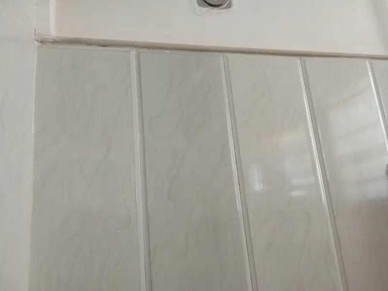 هم خونه