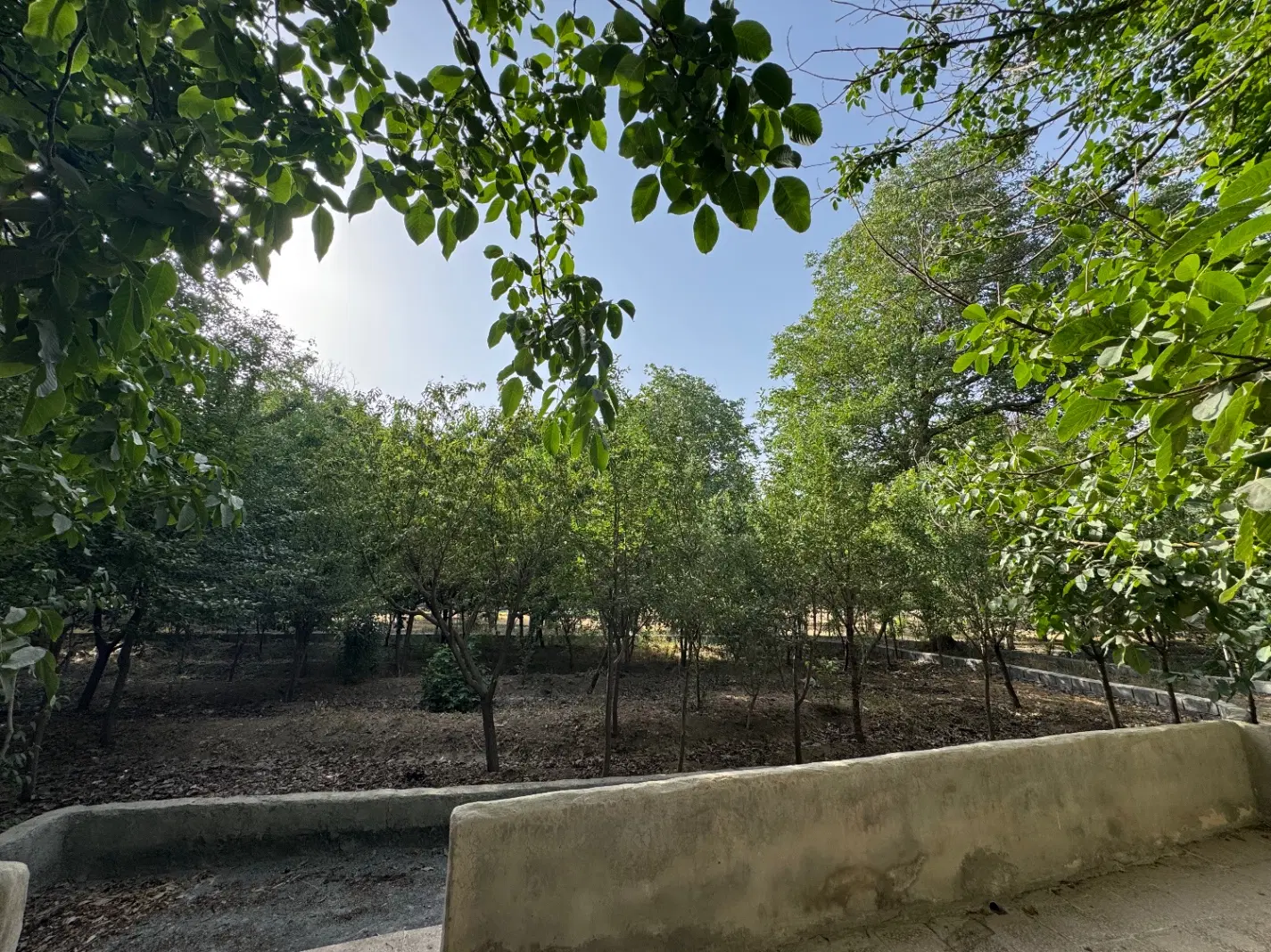 زمین سند دار سنجان