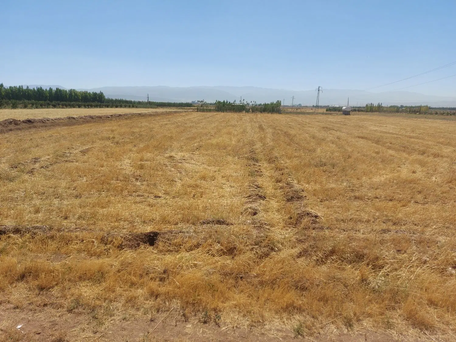 زمین زراعی. مناسب باغ