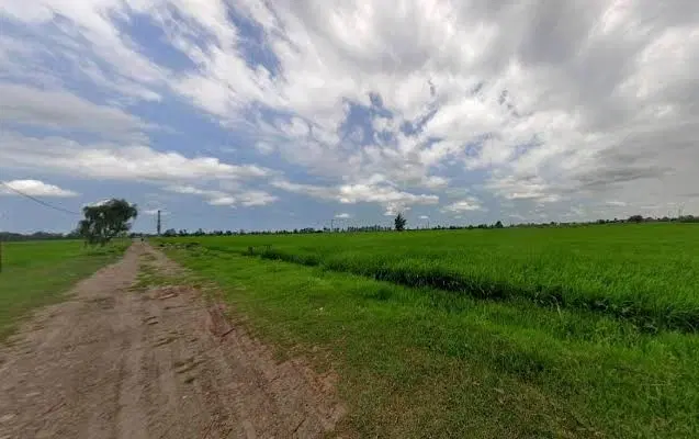 زمین کشاورزی