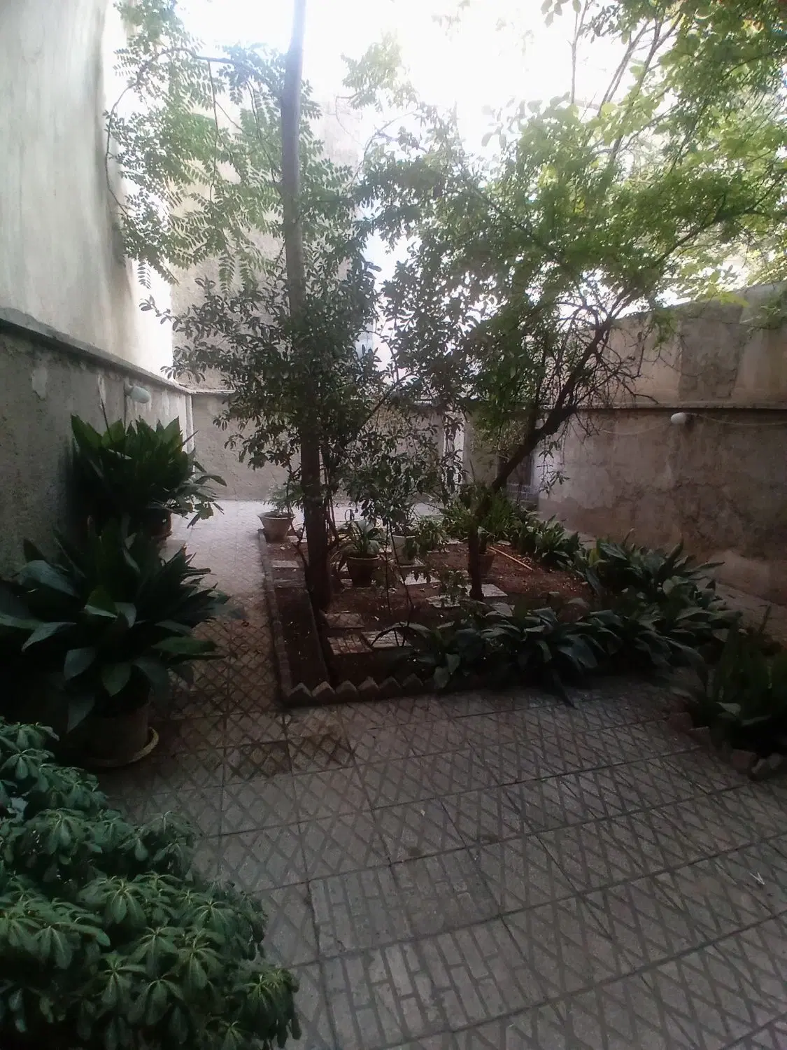فاطمی ۲۸۰متر کلنگی خیابان شکرالله