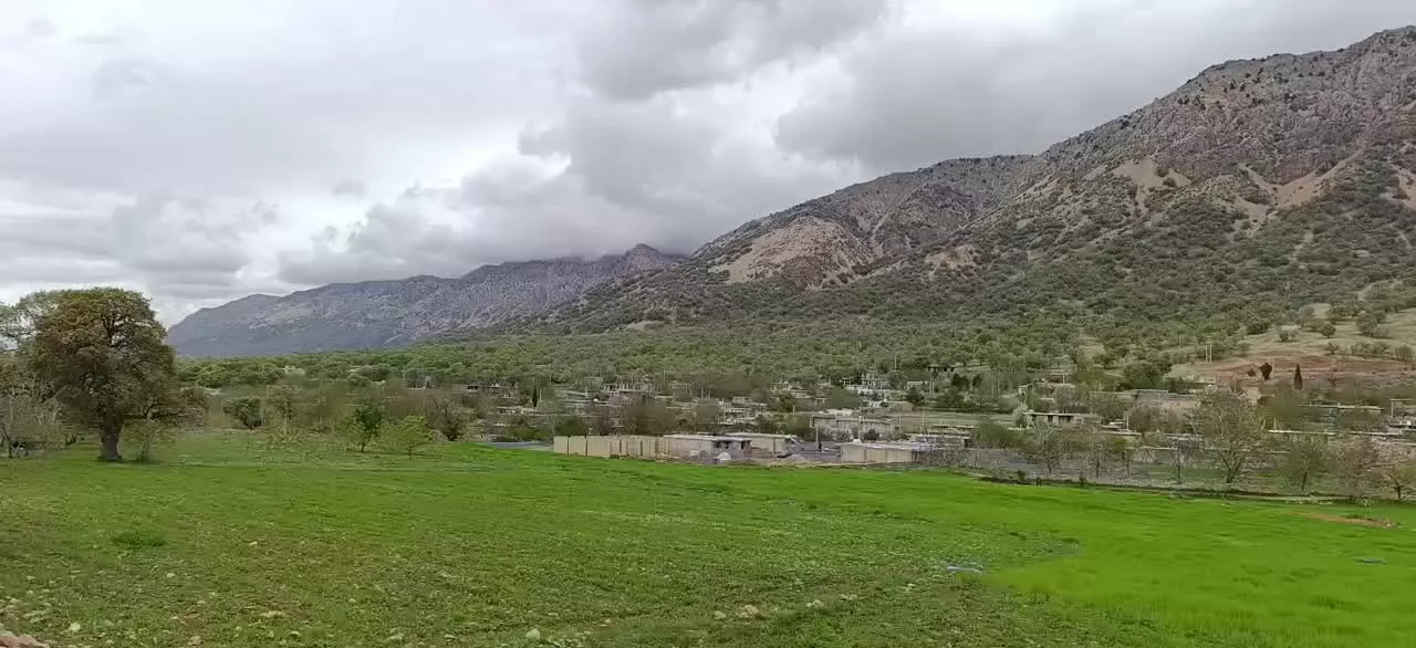 ملک سردسیری برفی