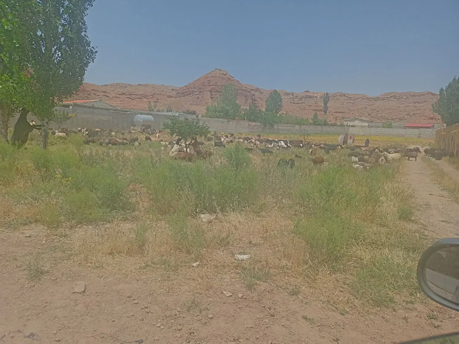 ۵۰۰ متر بر جاده آرپادرسی