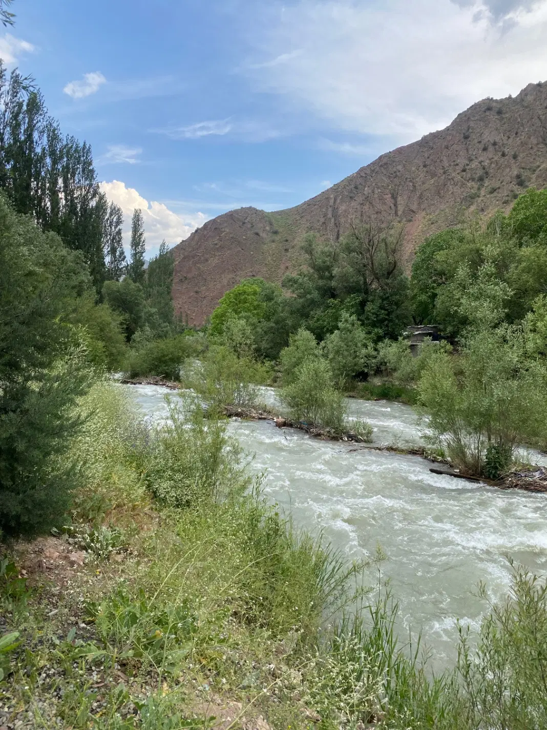 ۲۲۳۰متر زمین چابکسر سرولات
