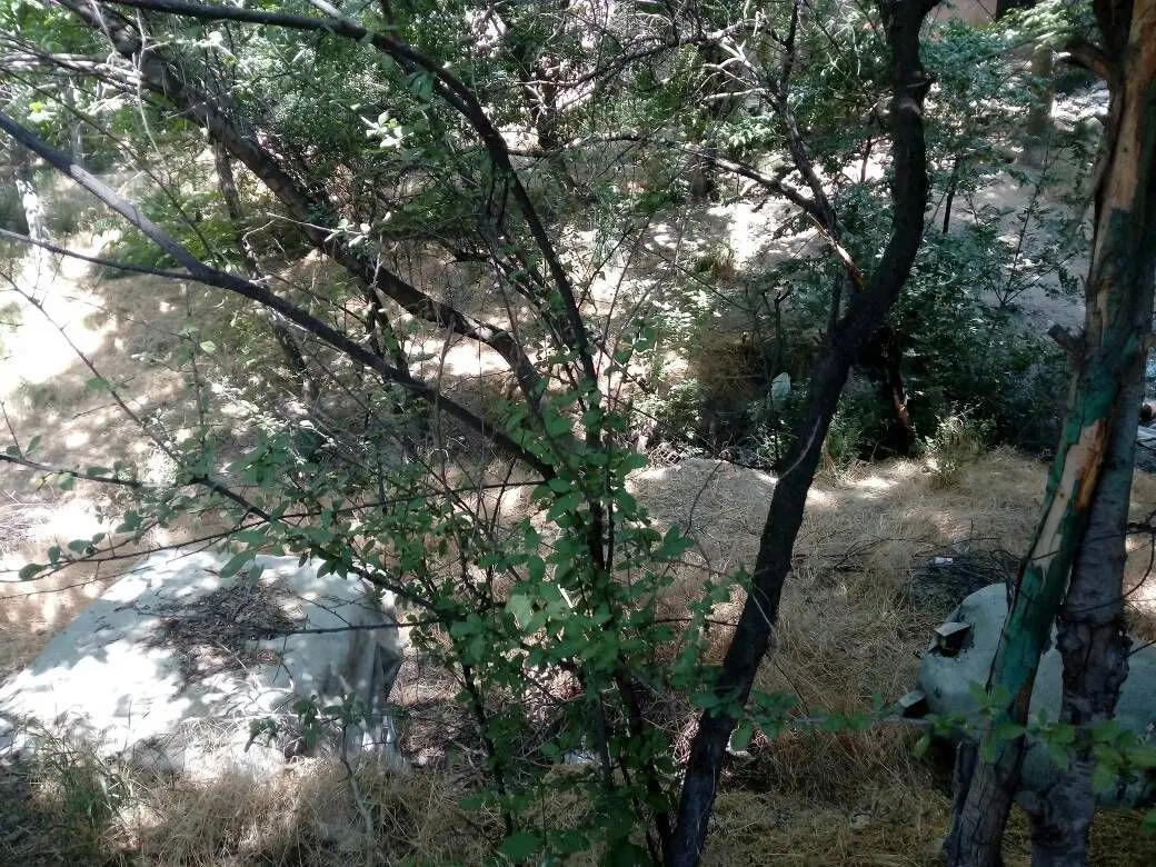 یک قطعه باغچه  سند تک برگ