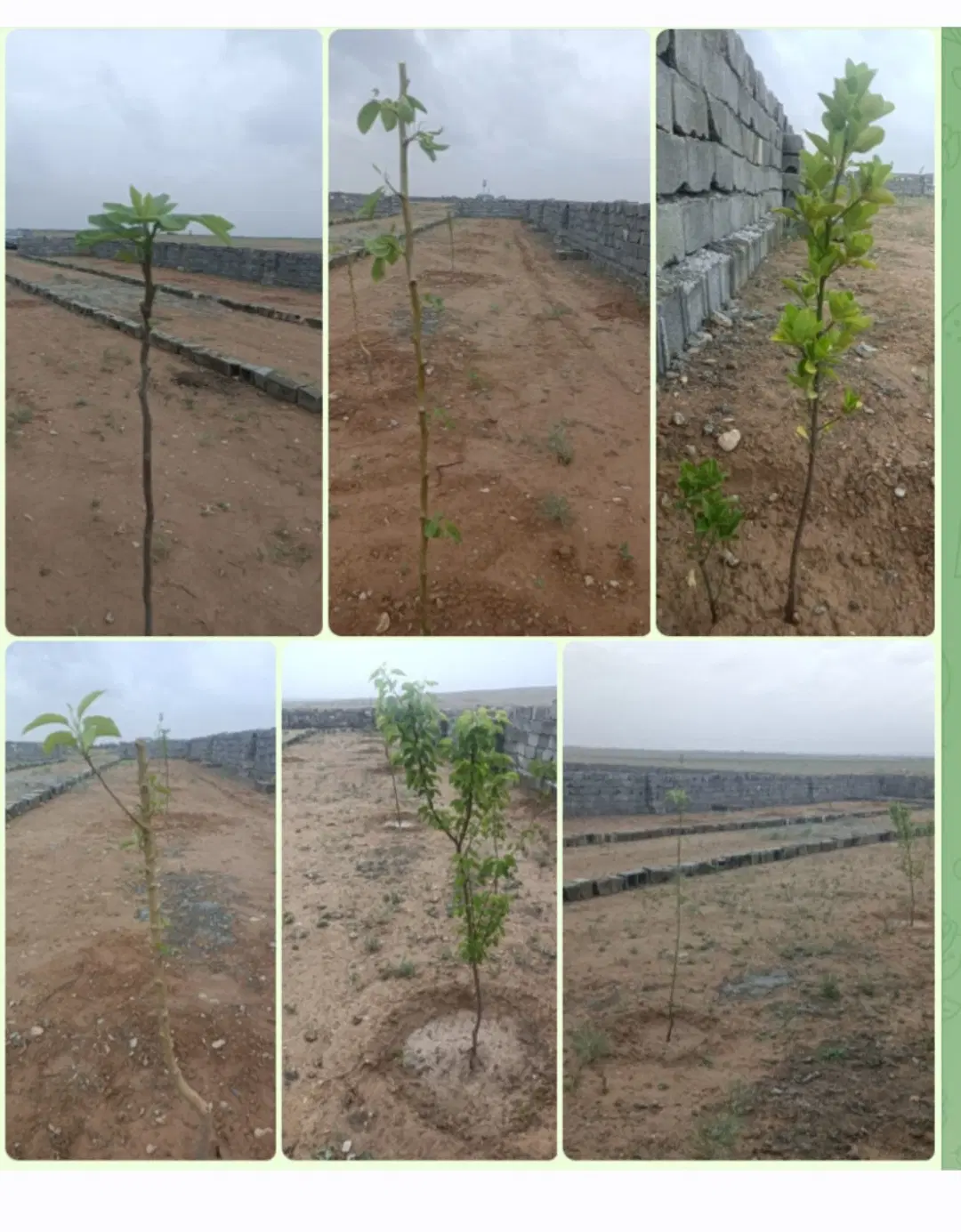 باغ ویلا شاهنامه
