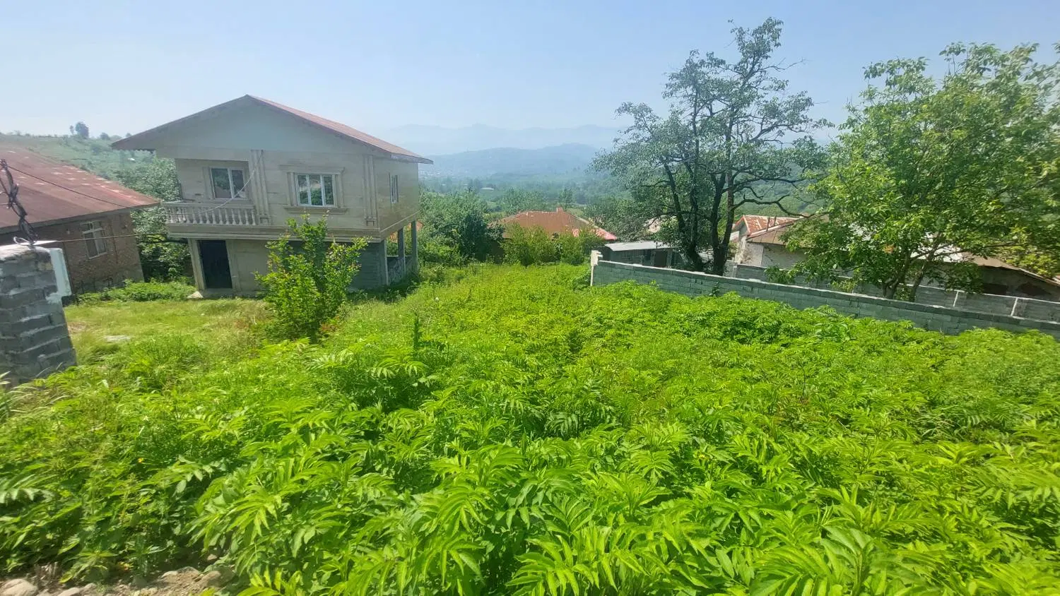 زمین مسکونی ویودار ۱۸۵متر