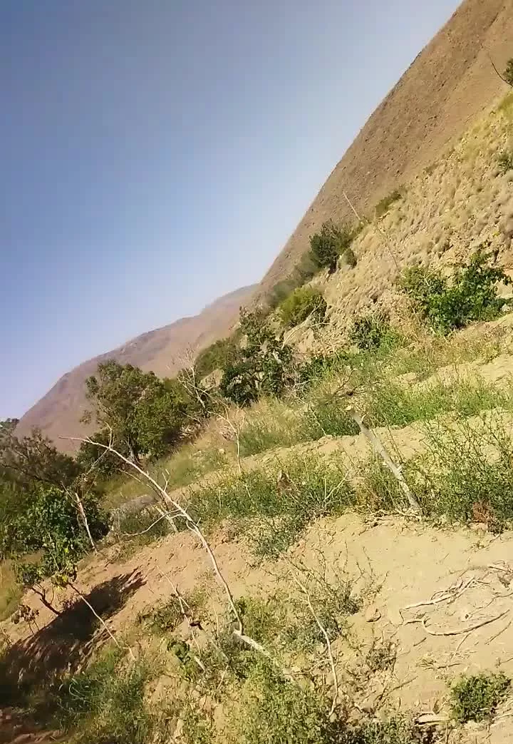 زمین۱۵۰متری اول جوینان محله کوهکاری دوبر لوکیشن خب