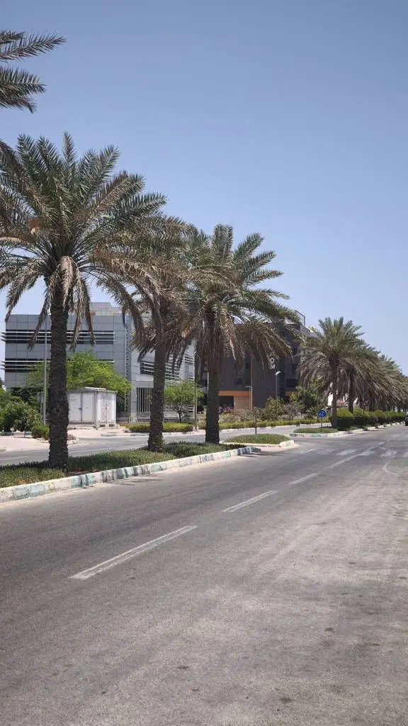 ۵۶ متر یکخواب سرو۴