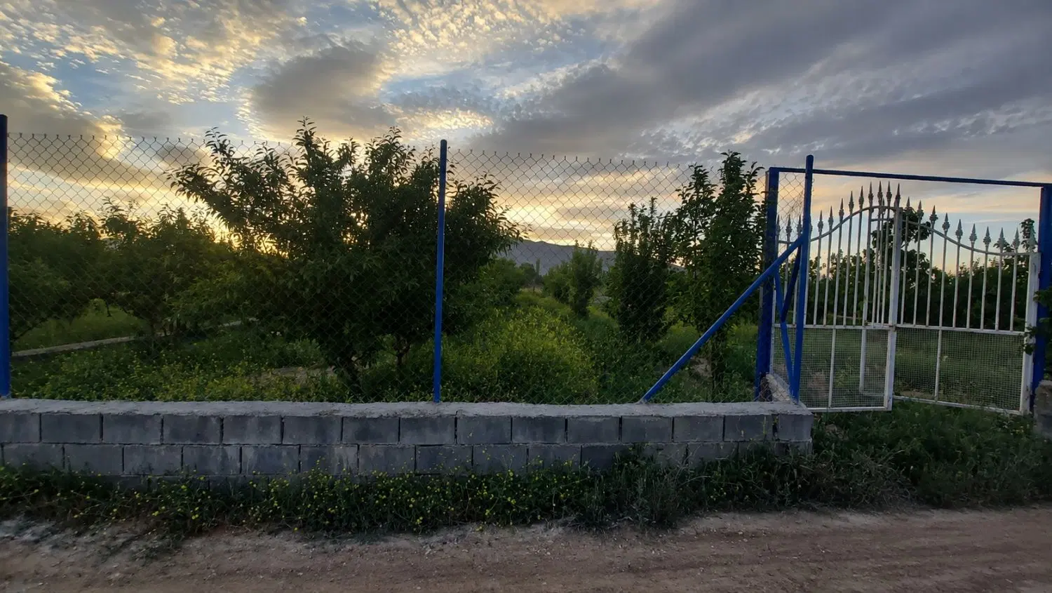 باغ 1000 متری با سند تک برگ و آب موتور