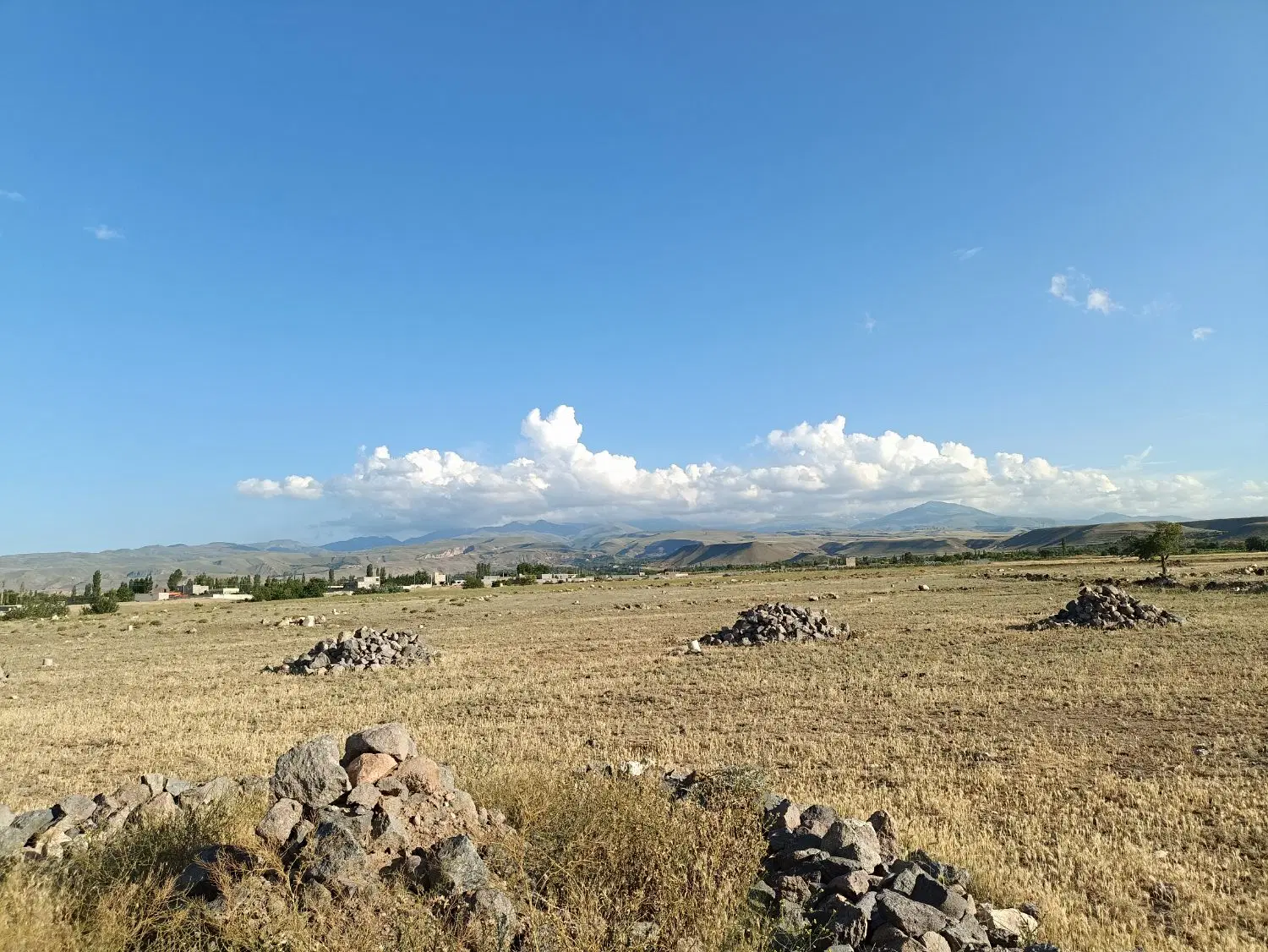 زمین مسکونی مناسب برای ویلا
