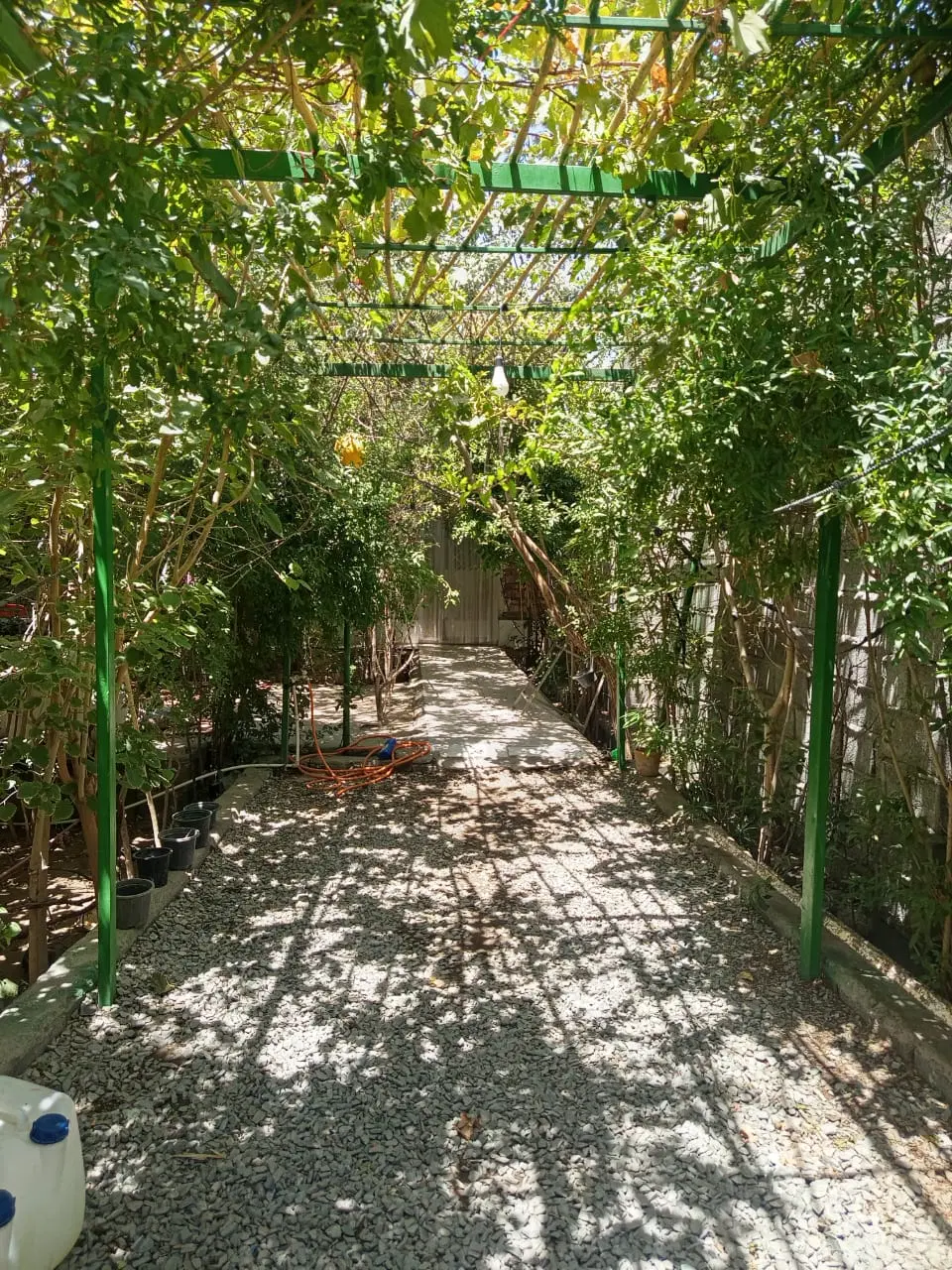 خانه باغ فروشی