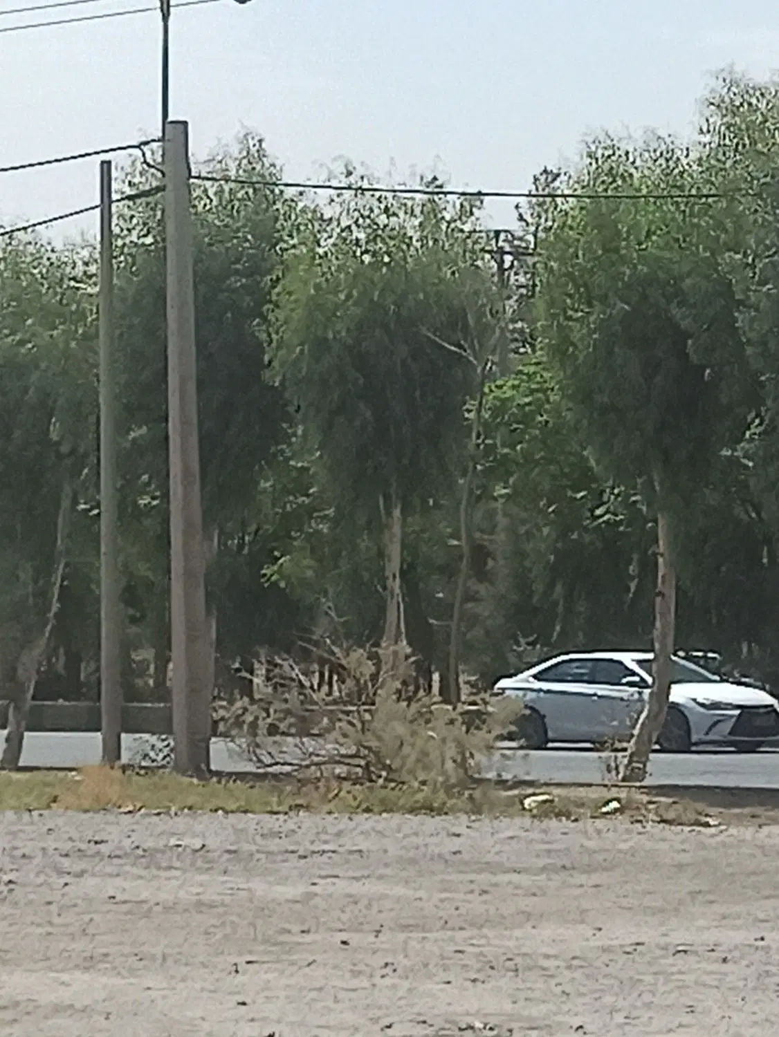 خانه باغ فروشی