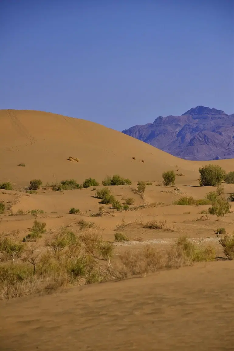 زمین نیرو انتظامی