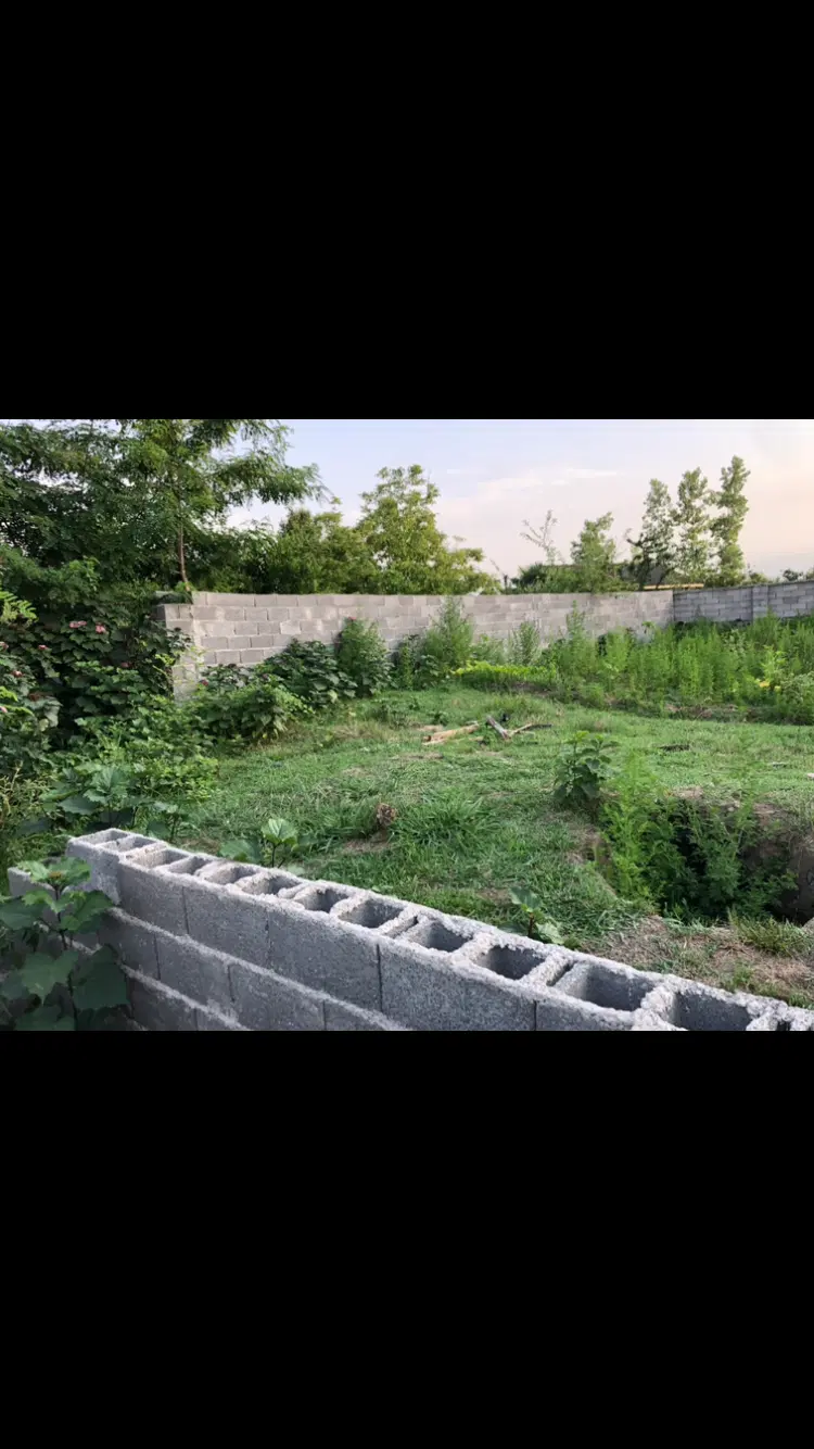 زمین ۵۵۰ متری فرشکی چوکام