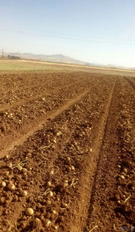زمین مسکونی