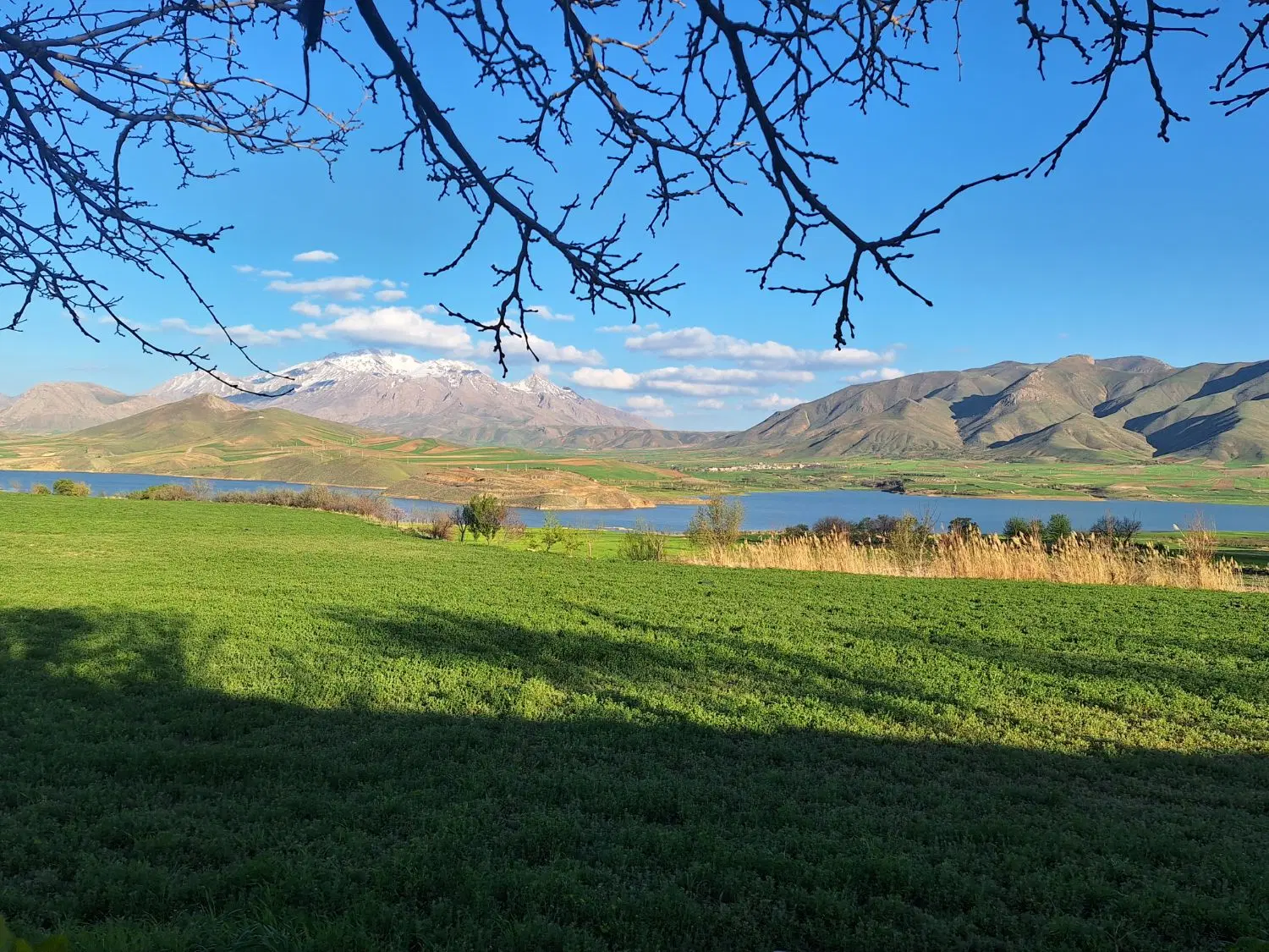 حدود یک هکتار زمین روستای گلویج نزدیک سدجامیشان
