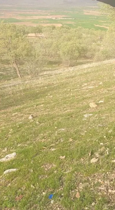 زمین کشاورزی
