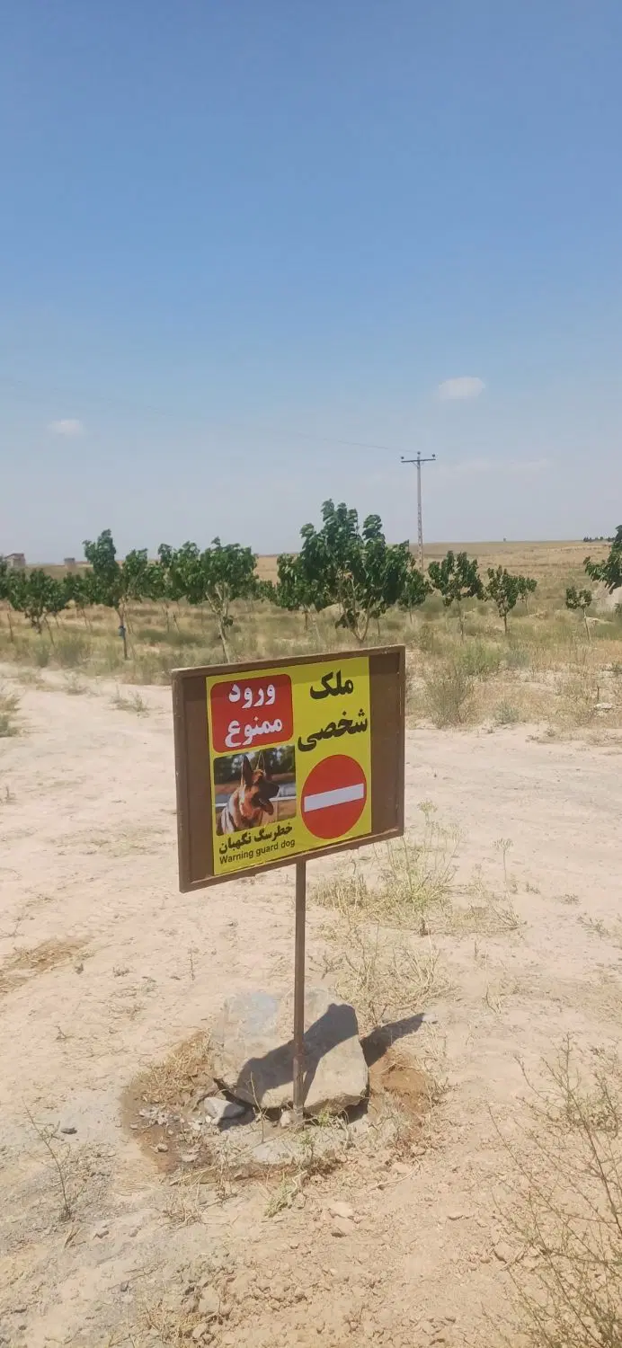 باغ در خت توت فروشی